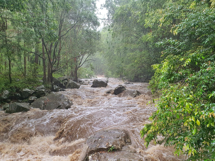 Cedar Creek in flood