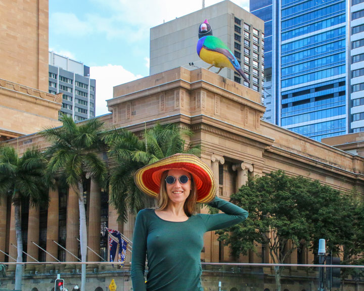 Bronwen, Messenger Bird (Brisbane Festival), City Hall, Brisbane