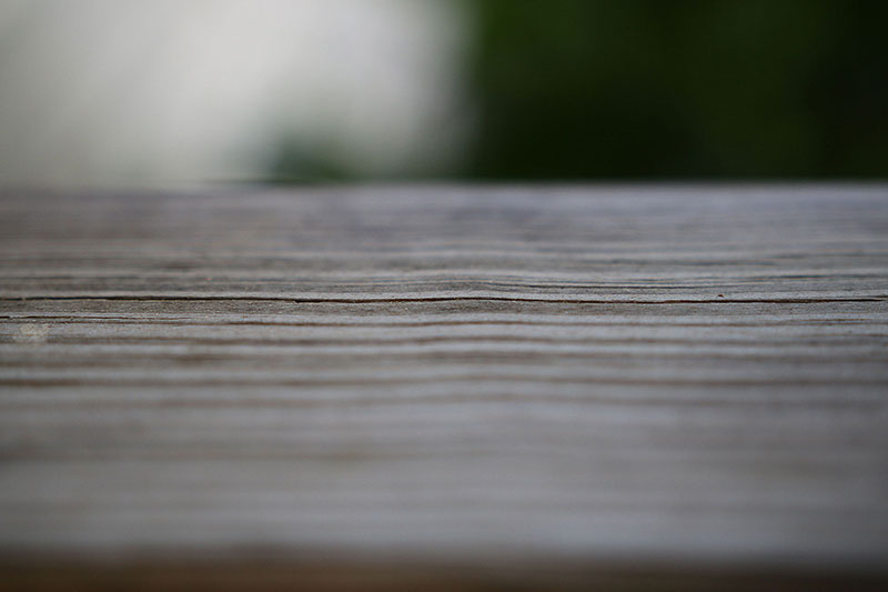 Playing with the shallow depth of field