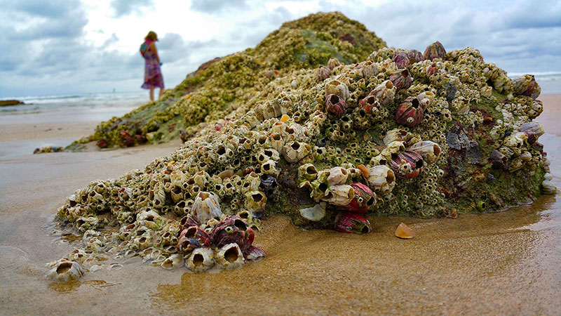 Bronwen and the colourful rocks