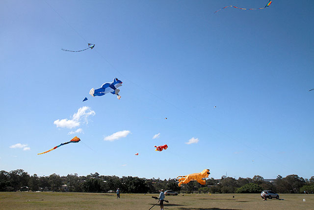 There really were a lot of kites