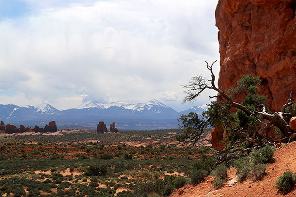 Snow-capped mountains make a stark contrast to the hot desert