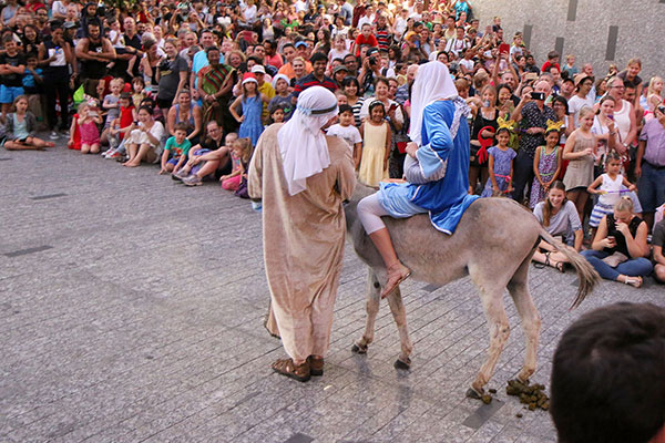 Joseph, Mary & a donkey!
