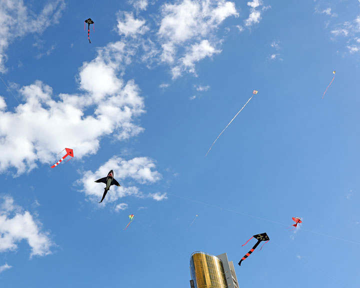 74th Independence Day of India and Gold Coast Kite Festival, HOTA, Gold Coast