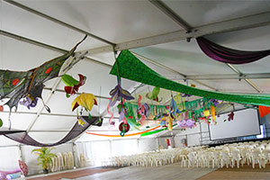 Stage decorations