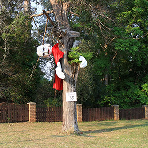 Mount Tamborine Scarecrows