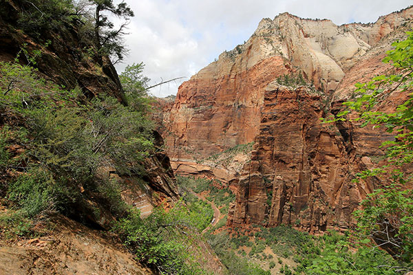 Zion Canyon. Note the tiny cars