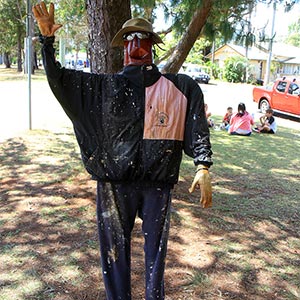 Tamborine Mountain Scarecrow Festival