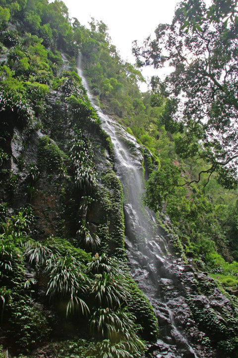 Waterfall, Coomera Gorge