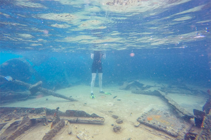 Snorkelling at Tangalooma Wrecks on Moreton Island