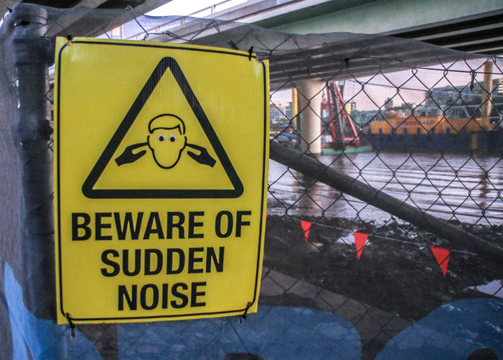 Beware of sudden noise