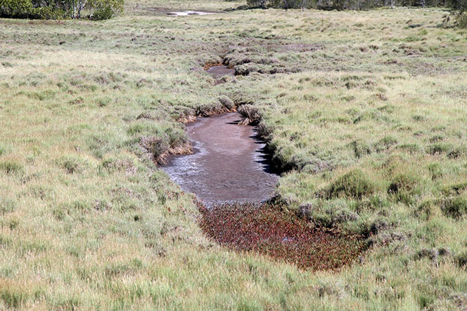 Salinity in Boondall Wetlands