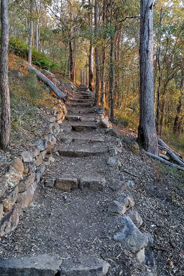 Walking up Mount Gravatt