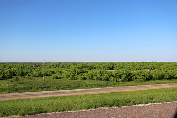 Texas–and a few oil wells