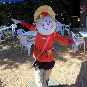 Tamborine Mountain Scarecrow Festival