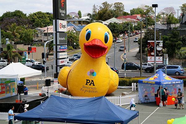 A PA duck