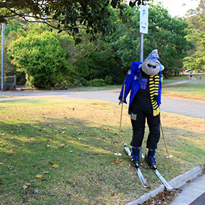 Mount Tamborine Scarecrows