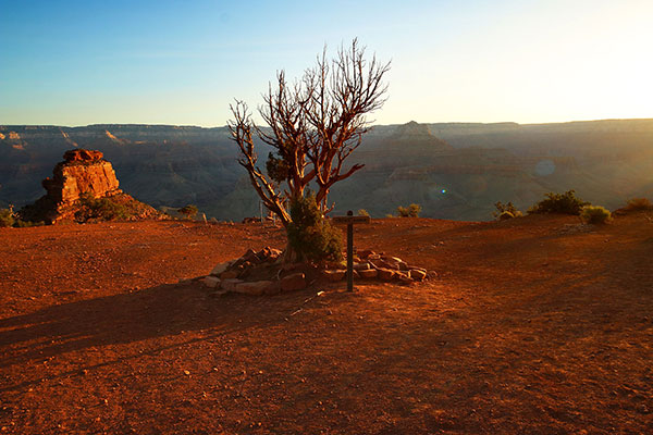 Bronwen arrives at “Cedar Ridge” on her walk down into the Grand Canyon