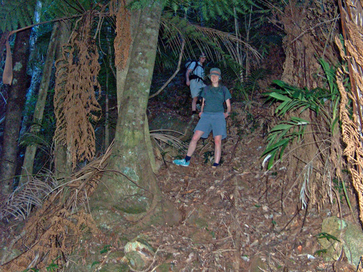 Ned & Bronwen tuck in the jungle as darkness gathers, on the way down Mt Barney