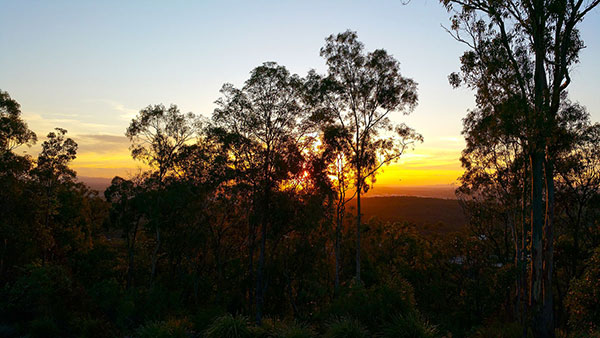 Walking up Mount Gravatt