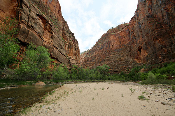 The cliffs for which Zion National Park is famous