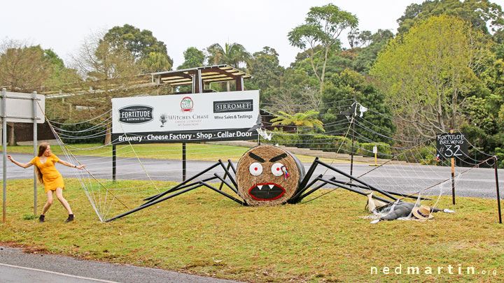 Bronwen at the Tamborine Mountain Scarecrow Festival