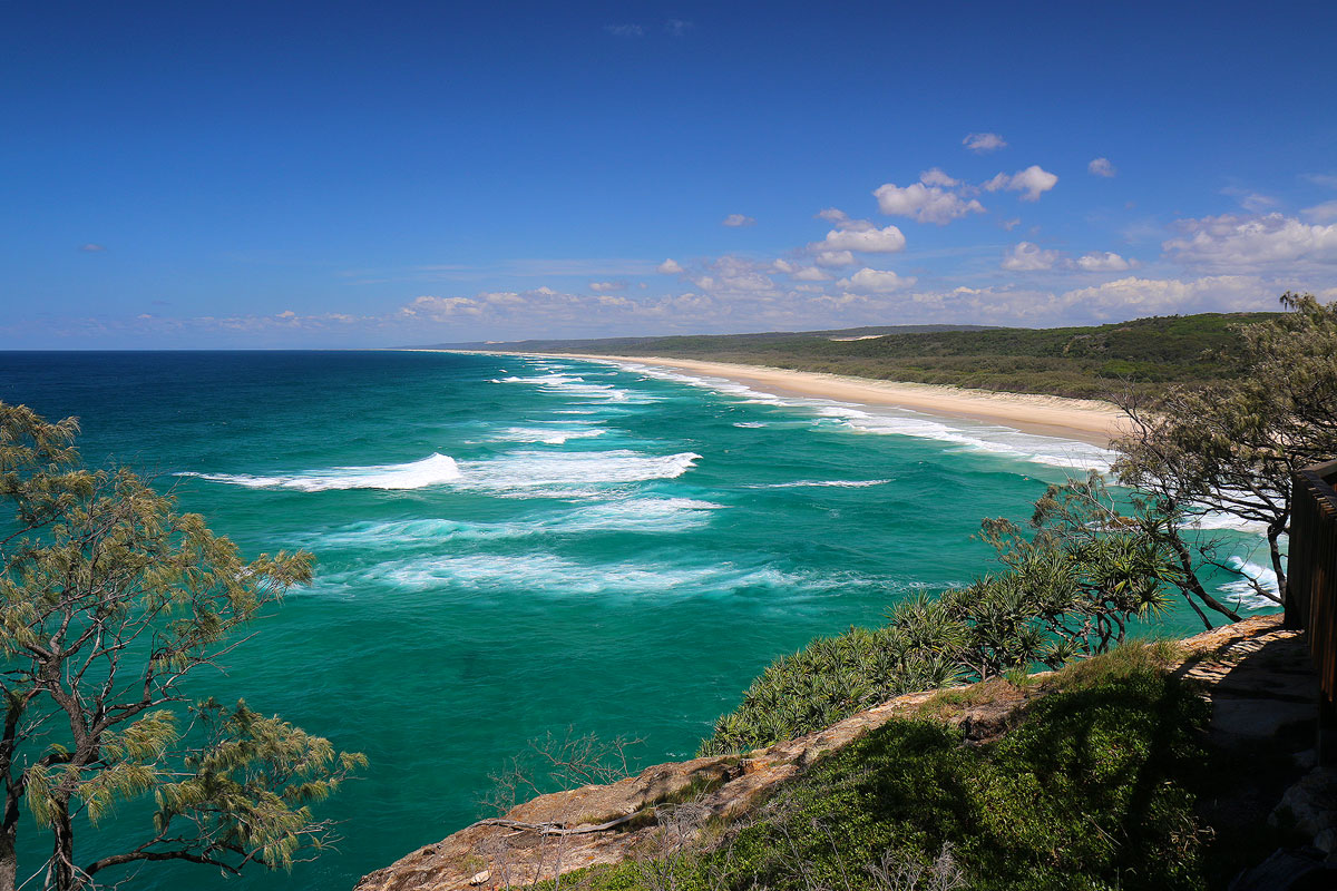 The longest shark nest on Stradbroke