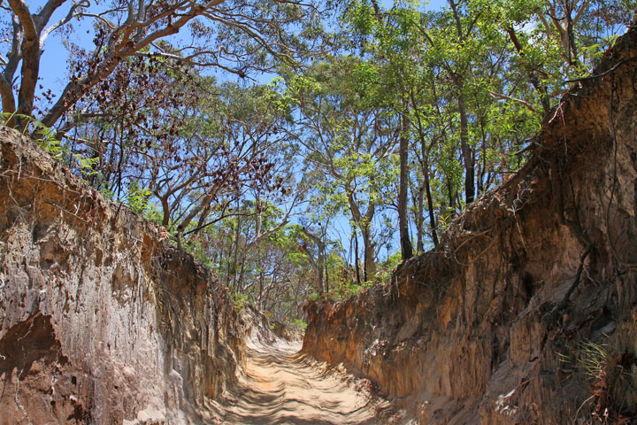 Moreton Island