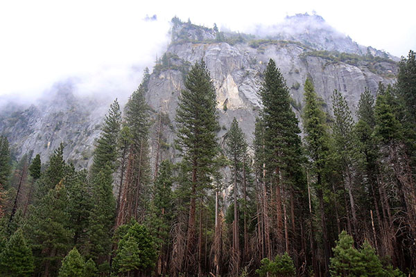 Clouds and cliffs at Yosemite