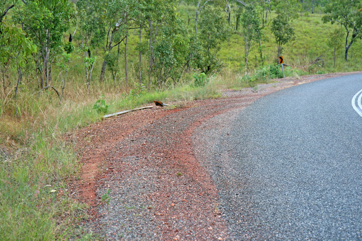 Car accident, Litchfield National Park, Northern Territory