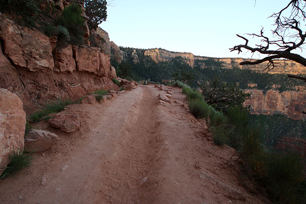 Bronwen’s walk down into the Grand Canyon