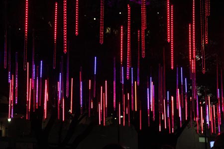 Brisbane Airport Light Garden
