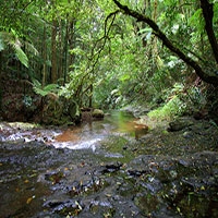 Coomera Creek