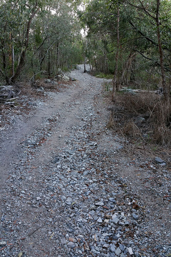 Walking up Mount Gravatt