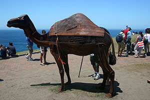 Sculpture by the Sea