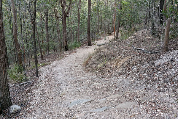 Walking up Mount Gravatt