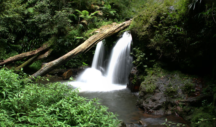 Coomera Gorge