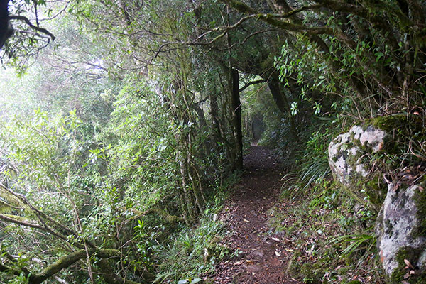 The path along the side of a cliff