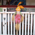 Scarecrows at Tamborine Mountain Scarecrow Festival