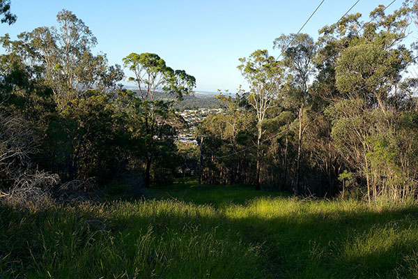 Walking up Mount Gravatt