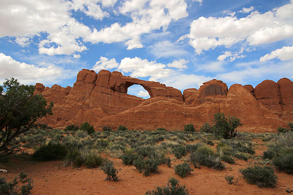 Yet another immense archway