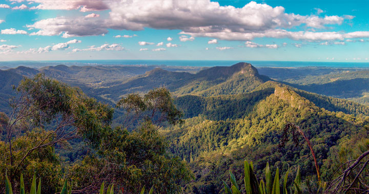 The view from Mt Cougal