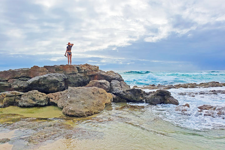 Bronwen hunting for whales