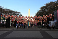 Lanterns at South Bank