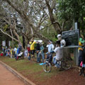 Scarecrows at Tamborine Mountain Scarecrow Festival