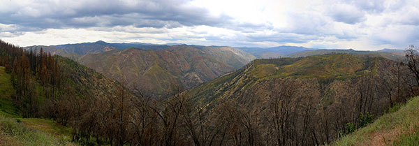 Looking out over Yosemite