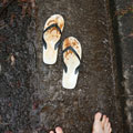 My thongs. It mists non-stop and everything is rather damp and muddy.