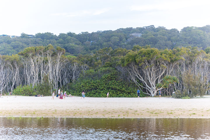 Micro Island Vibe Festival, Stradbroke Island