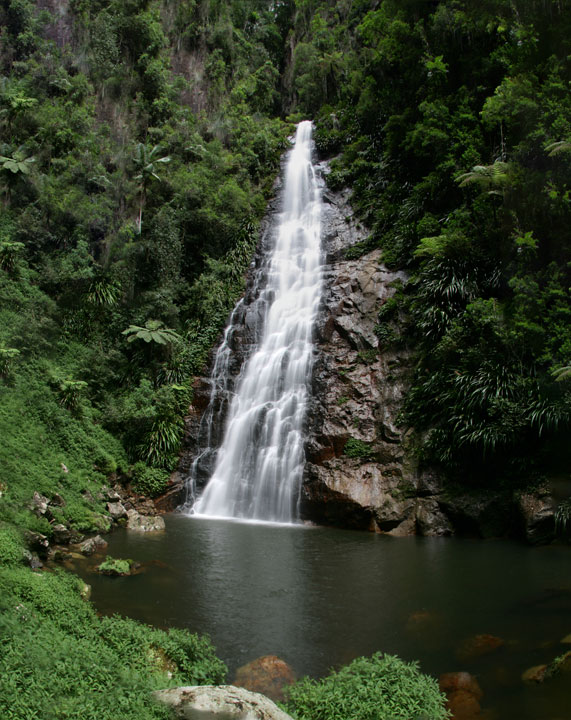 Coomera Gorge