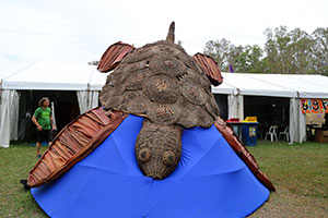 Woodford Folk Festival